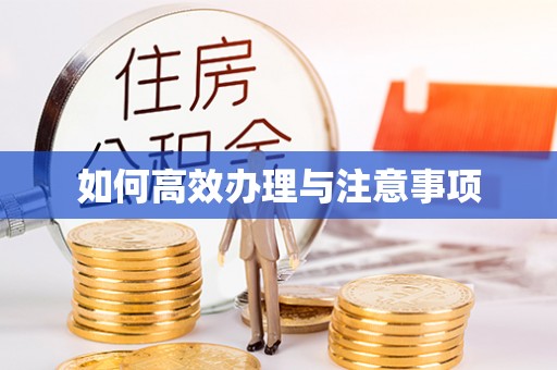即墨如何高效办理与注意事项